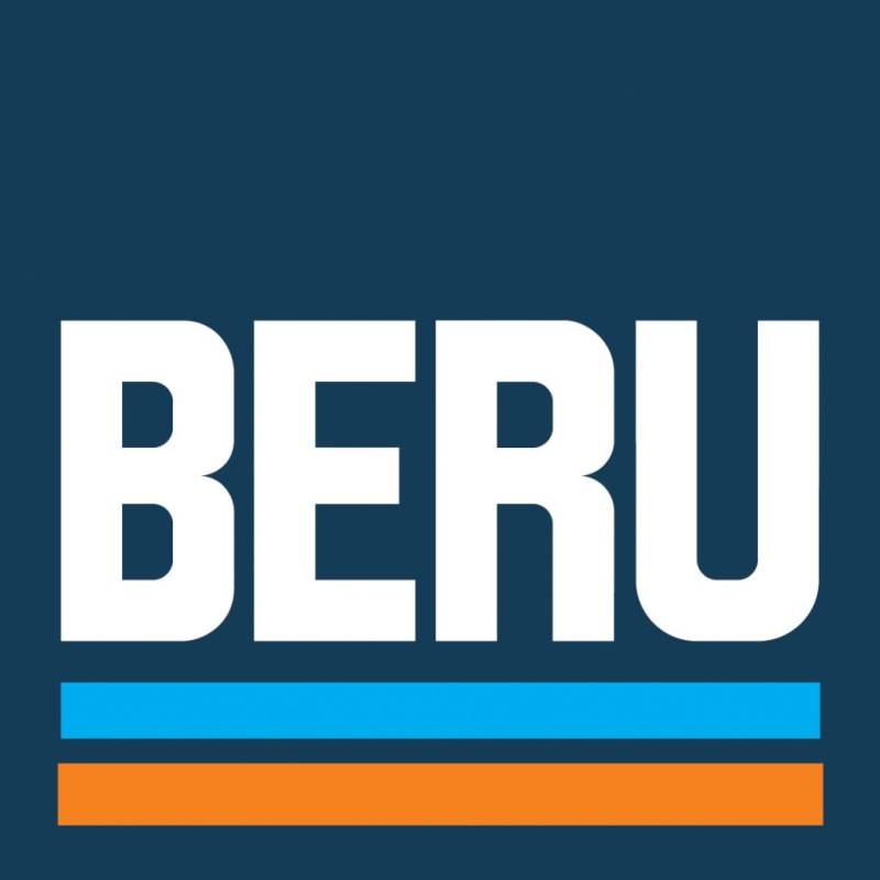 Beru AG 0300890463 Zündleitungssatz von Beru AG