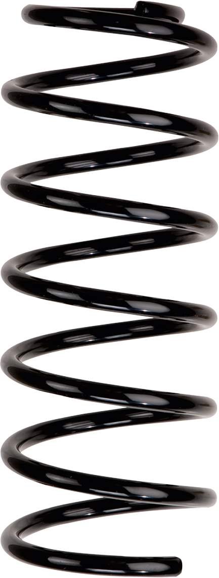 Bilstein 37–256166 Coil Springs von Bilstein