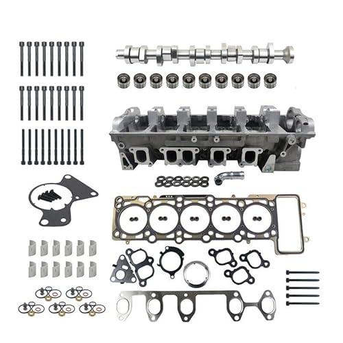 Bisenya Zylinderkopfsatz Kompatibel mit T5 2,5 TDI AXD AXE BAC BLJ BLK mit Ventile Pumpe Düse von Bisenya