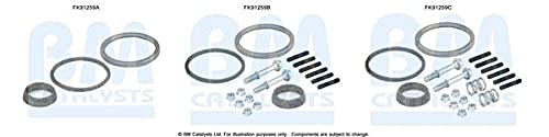 Bm Catalysts FK91259 Montagesatz, Katalysator von Bm Catalysts