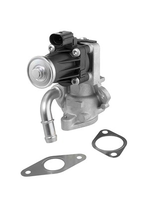 Borgwarner (wahler) AGR-Ventil [Hersteller-Nr. 712017D] für Ford von BorgWarner (Wahler)