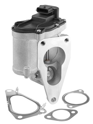 Borgwarner (wahler) AGR-Ventil [Hersteller-Nr. 712018D] für Renault, Suzuki von BorgWarner (Wahler)