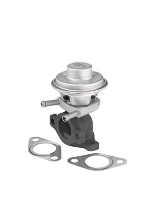 Borgwarner AGR-Ventil [Hersteller-Nr. 712069D] für Fiat, Iveco von BorgWarner