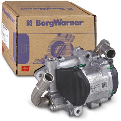 Borgwarner (wahler) AGR-Ventil [Hersteller-Nr. 72147559D] für Audi, Seat, Skoda, VW von BorgWarner (Wahler)