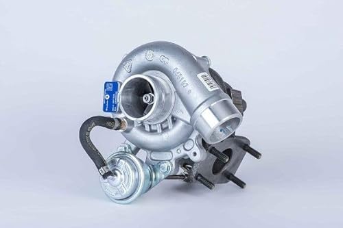 Borgwarner (awd) DS118622 - Pumpe, Lamellenkupplung-Allradantrieb von BorgWarner