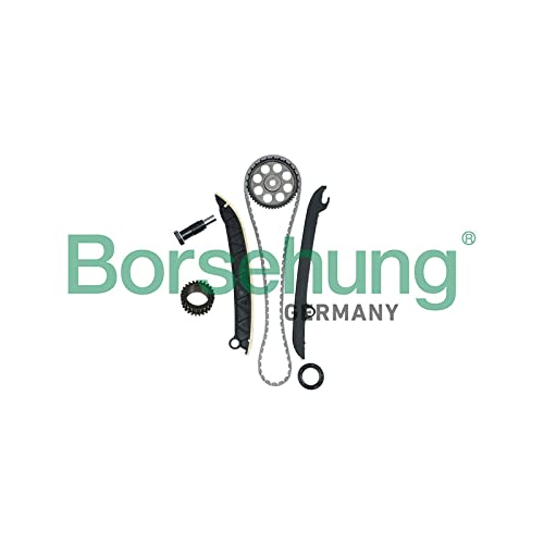 Borsehung B16297 - Steuerkettensatz von Borsehung