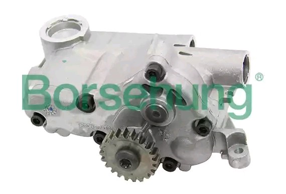 Borsehung Ölpumpe VW,AUDI B12698 06J115105AG,06J115105T,06H105209AQ Motorölpumpe 06H105209AT,06H115105AQ,06J115105AB,06J115105AC von Borsehung