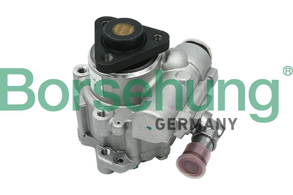 Hydraulikpumpe, Lenkung Borsehung B13209 von Borsehung