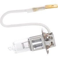 BOSCH Glühlampe, Hauptscheinwerfer Trucklight  WS H3 1 987 302 431  MERCEDES-BENZ,VOLVO,IVECO,Citaro (O 530),Intouro (O 560),ACTROS,ACTROS MP2 / MP3 von Bosch