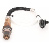 BOSCH Lambdasonde 0 258 006 990 Regelsonde,Lambda Sensor RENAULT,DACIA,Clio III Schrägheck (BR0/1, CR0/1),TWINGO II (CN0_) von Bosch