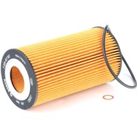 BOSCH Ölfilter Filtereinsatz F 026 407 007 Motorölfilter,Filter für Öl VW,AUDI,Phaeton (3D1, 3D2, 3D3, 3D4, 3D6, 3D7, 3D8, 3D9),A6 Avant (4F5, C6) von Bosch