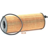 BOSCH Ölfilter Filtereinsatz F 026 407 072 Motorölfilter,Filter für Öl BMW,3 Touring (E91),3 Limousine (E90),5 Limousine (E60),5 Touring (F11) von Bosch