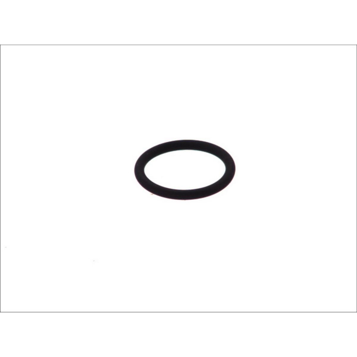 Bosch F00RJ00534 O-Ring von Bosch