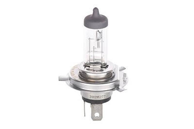 Bosch Glühlampe, Hauptscheinwerfer [Hersteller-Nr. 1987302048] für Abarth, Alfa Romeo, Audi, Autobianchi, BMW, Chevrolet, Chrysler, Citroën, Dacia, Da von Bosch