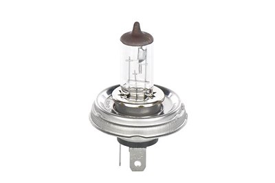 Bosch Glühlampe [Hersteller-Nr. 1987301021] für Alfa Romeo, Austin, Citroën, Daihatsu, Fiat, Lada, Peugeot, Renault, Suzuki, Toyota von Bosch