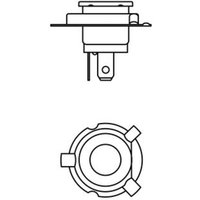 Glühlampe, Hauptscheinwerfer Pure Light WS BOSCH 1 987 302 092, 1 Stück von Bosch