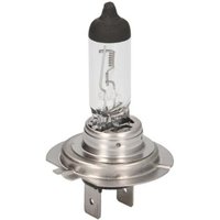 Glühlampe Halogen BOSCH H7 Trucklight Maxlife 24V, 70W von Bosch