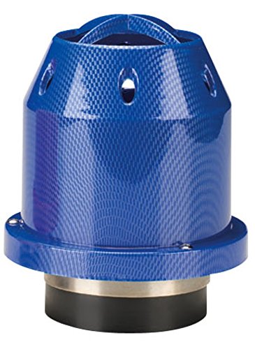 Bottari 51856 Luftfilter für Auto von Bottari