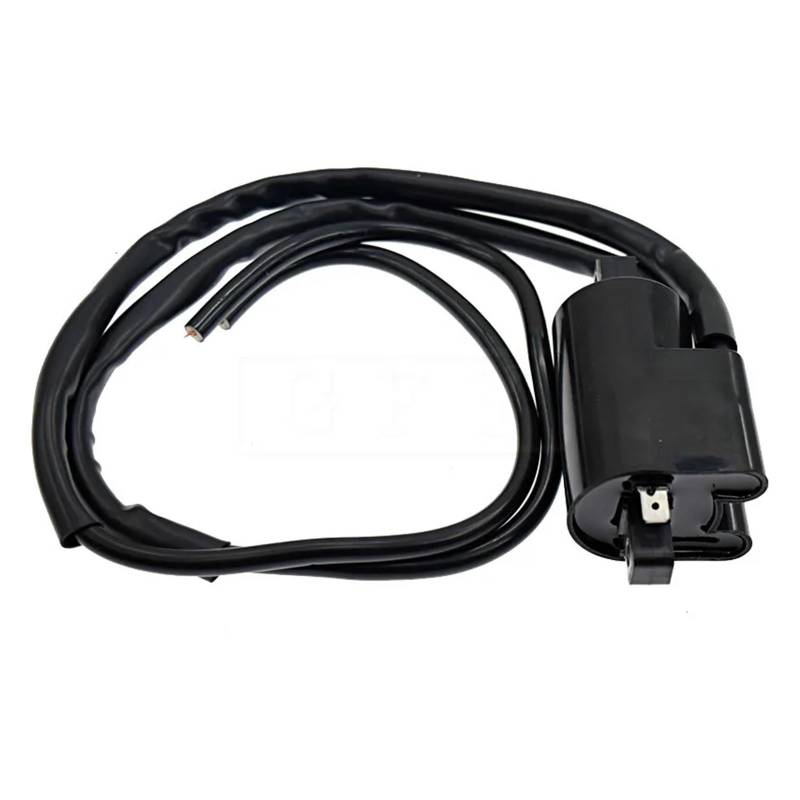 Zündungen Zündspule Für FZ6 2004 2005 2006 2007 2008 2009 Motorrad Zündspule 12V CDI Spulen(Ignition Coil) von Bpjikxf