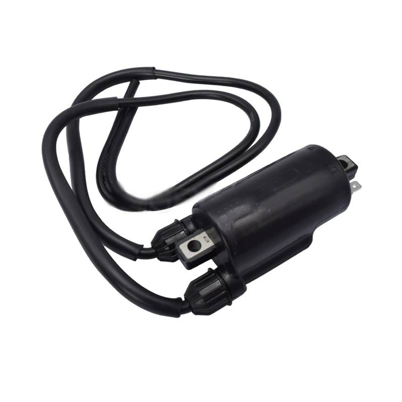 Zündungen Zündspule Für VTX 1300 2004-2009 VTX1300 C/R/S/T VT1300 VT 1300 VTX1300C VTX1300R Motorrad Zündspule 12V Externe CDI von Bpjikxf