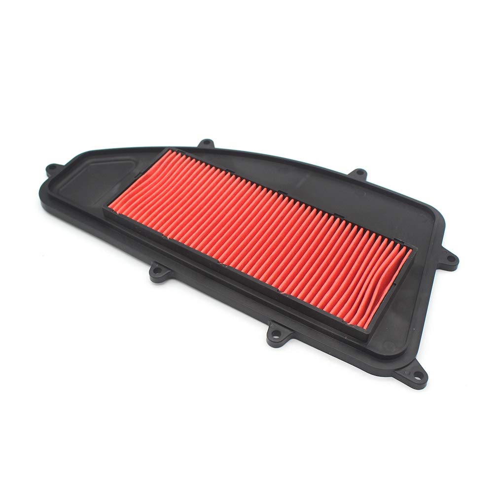 Breeshy Motorrad Luft Filter Ansaug Reiniger für XCITING 250 300Cc CK250 von Breeshy