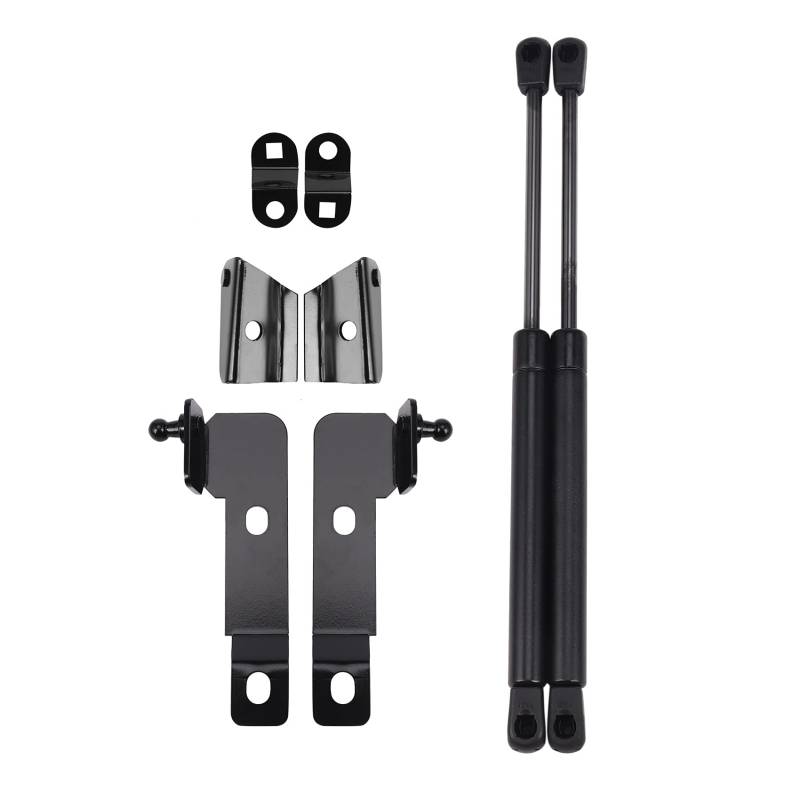 Briaatt Auto Front Haube Abdeckung UnterstüTzung Kit Gas Druck Federn Lift UnterstüTzung für Navara D40 2004-2018 für (R51) von Briaatt