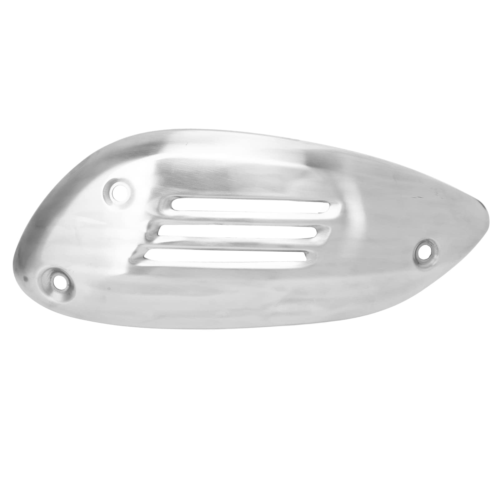 Brilluxa Motorrad-Auspuffrohrabdeckung, Edelstahl-Schalldämpferwärme, Ersatzschutz, kompatibel mit GTS 125, 250, 300, GTV 2013–2021 (Silber) von Brilluxa