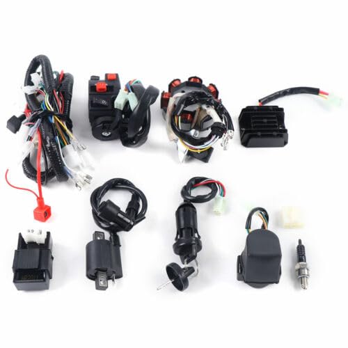 Schwarz Kabelbaum Satz, Elektrokabelbaum Kit CDI Kabelbaum Gleichrichter Elektrik-Statorspule Komplette Elektro Kabel, für ATV QUAD 150-250 300CC von Bukeey