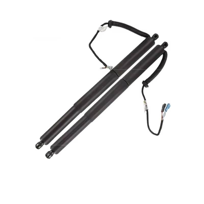 CAKYSE Autoteile Kompatibel Mit X5 F15 2014 2015 2016 2017 2018 Auto Heckklappe Hebe Hilfs Elektrische Gas Strut OEM:51247434041 51247434042 von CAKYSE