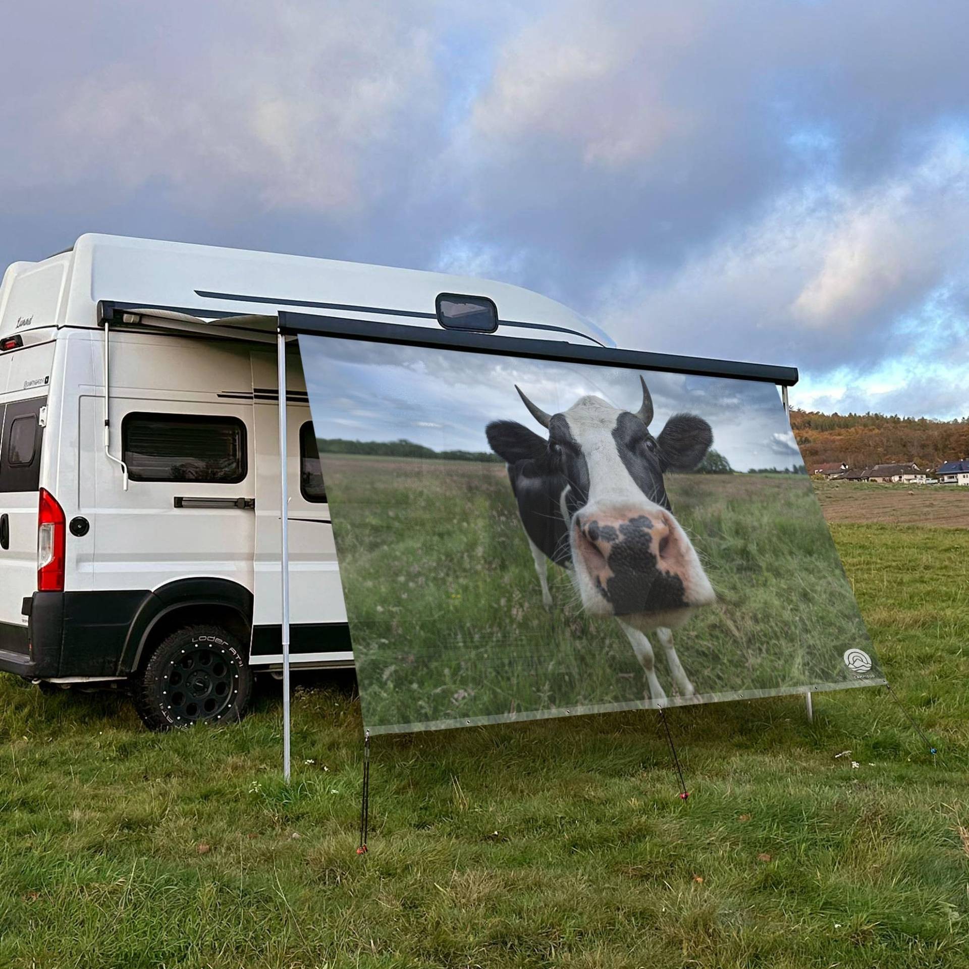 CAMPIDOO Textil Sonnensegel Kuh Berta | Höhe 200cm | hochwertiger Fotodruck inkl. Keder-Befestigung | Markisen-Vorderwand - Länge/Keder: 200cm / 5 mm (z.B. Thule) von CAMPIDOO