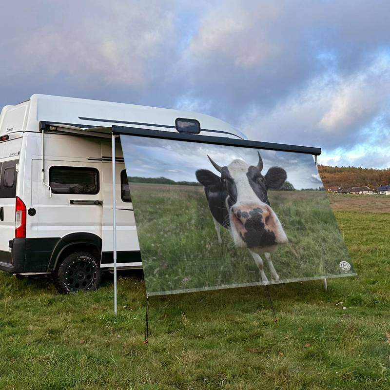 CAMPIDOO Textil Sonnensegel Kuh Berta | Höhe 200cm | hochwertiger Fotodruck inkl. Keder-Befestigung | Markisen-Vorderwand - Länge/Keder: 350cm / 5 mm von CAMPIDOO