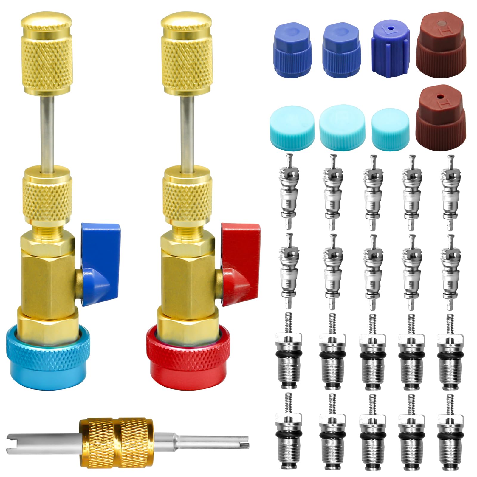 CANIPHA 1 Set of R134A Valve,31-teiliges R134A-Ventilkern-Schnellentferner-Installationswerkzeug-Set, Hoch-Niederdruck-Ventilkern-Entfernungswerkzeug mit R134A-Ventilkern-AC-Service-Port-Kappen von CANIPHA