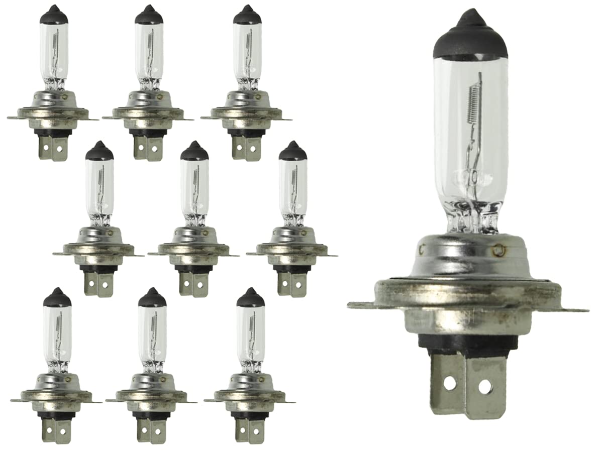 CARALL 10 Pezzi Lampada Alogena 12V Per Auto (H18 12V 65W PY26d-1) von CARALL