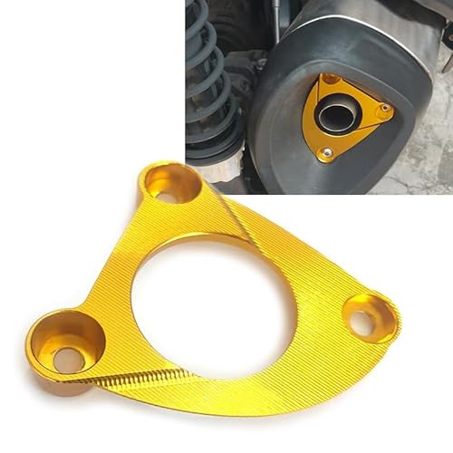 Endabdeckung Schwanzrohr Modifikation CNC Aluminium Dekorativer Schutz für Motorrad Zubehör für VOGE SR4 MAX SR4Max 2023 2024 (Gold, für SR4Max) von CCYYMOWOK