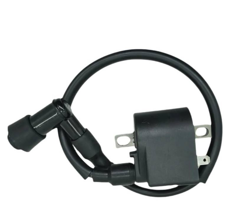 Kompatible Ersatzzündungsspule für AX100 CDI FZ50 FR80 AK100 33410-35330 2T LX100-6 KR150 RC80 100 Motorrad-Elektronikzündung von CFMIAWIC