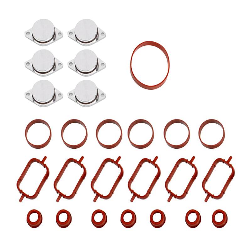 CGEAMDY Ansaugklappen-Ausbausatz, Diesel-Drallklappen Ansaugkrümmerdichtungs-Reparatursatz, Motoreinlass Diesel Swirl Flap Blank Reparatursatz Mit Krümmerdichtungen von CGEAMDY