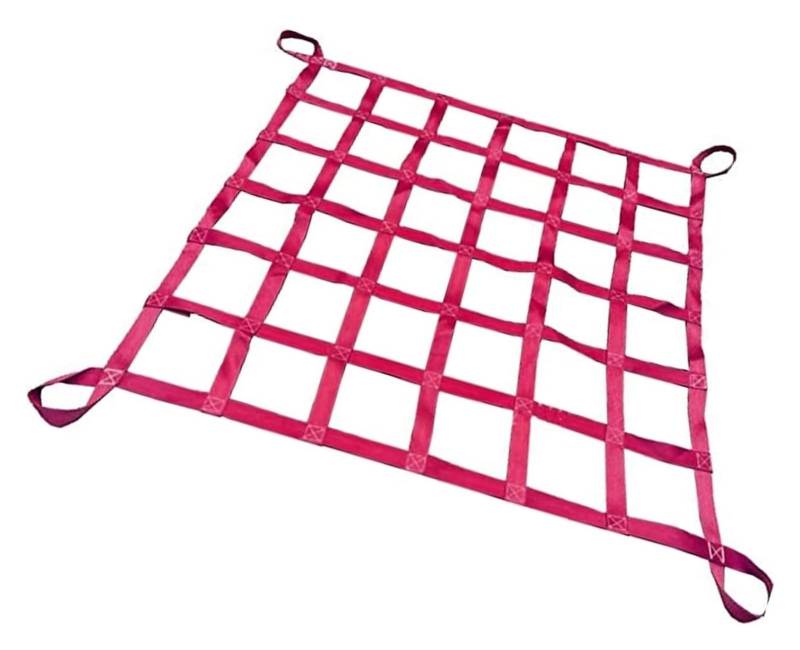 Hebe-Hebenetz, Frachtnetz, Ladungsschlingennetz, Be- und Entladen, Gartenhebenetz, Handhabungsgurte(3X3m(Mesh10cm)) von CHENYUOZ