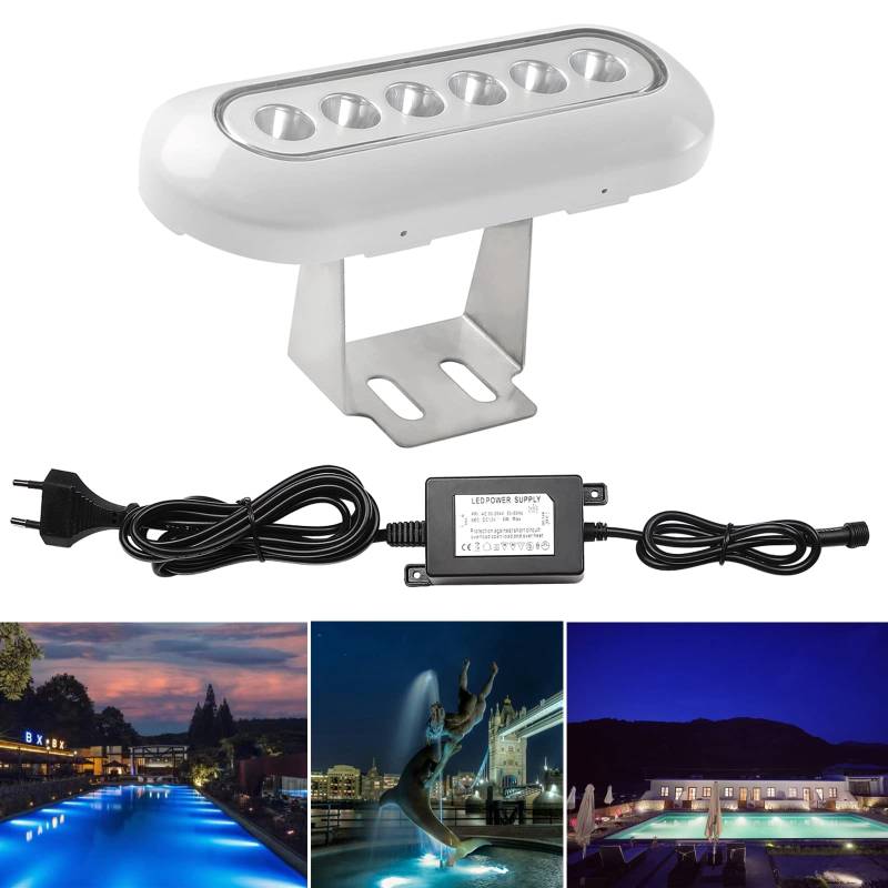 CHNXU 1er Set LED-Unterwasserleuchte Teichbeleuchtung 800LM 12W Aquarium-Licht Unterwasserlicht Wasserdicht IP68 - Unterwasserbeleuchtung für Pool Teich Pflanzendeko mit 12V Netzteil, Kaltes Weiß von CHNXU