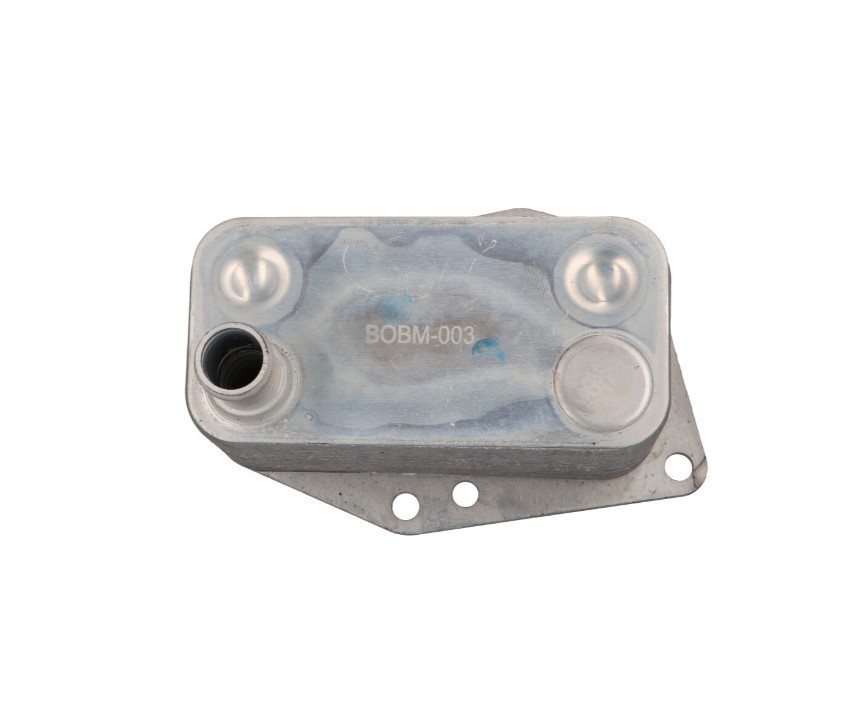 CLIMTEX Ölkühler BMW CH8-181 7787698,49870220,11427787698 Ölkühler, Motoröl von CLIMTEX