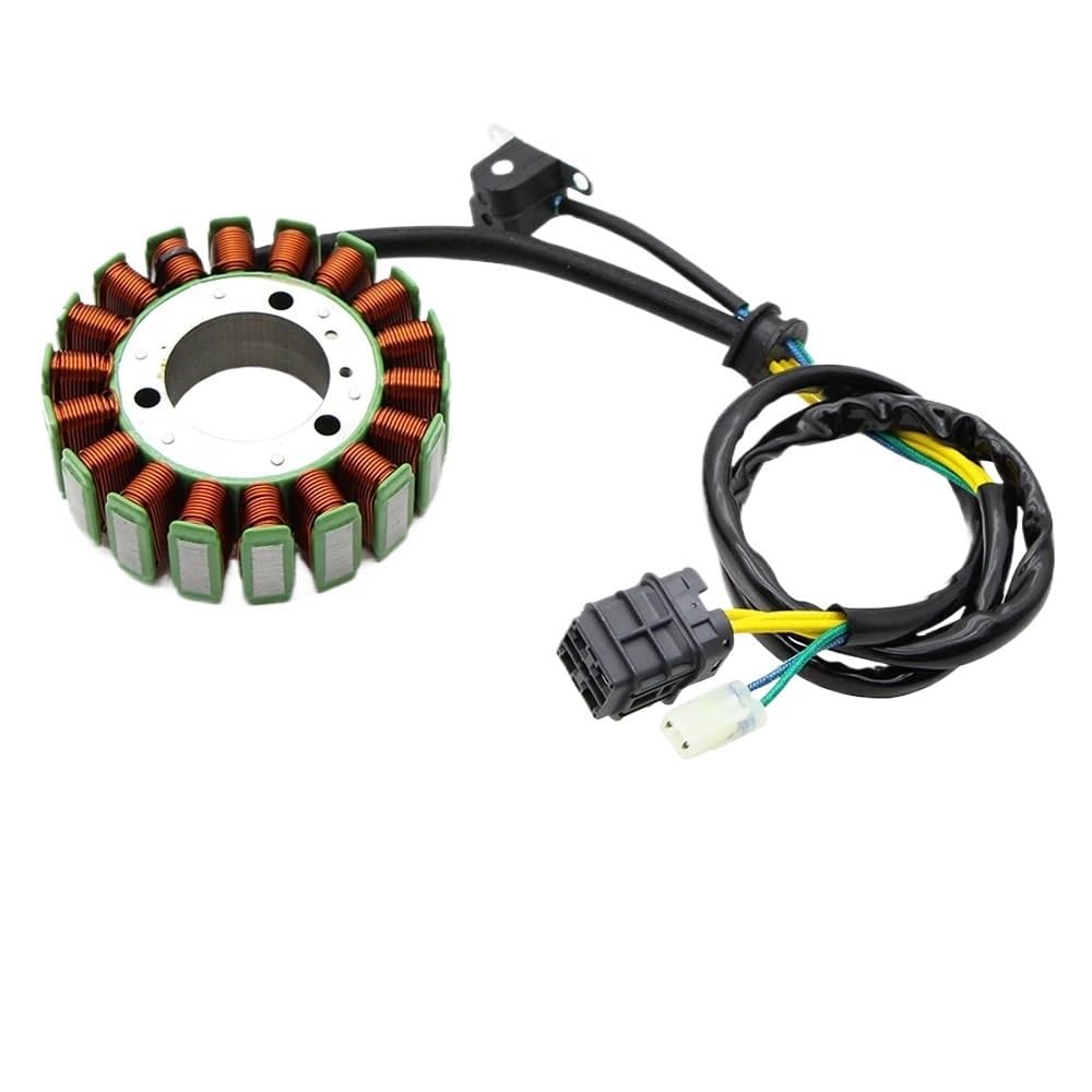 DS250 Motorrad Generator Magneto Stator Spule Ersatz kompatibel S31120RCA000 von CLIVPBXW