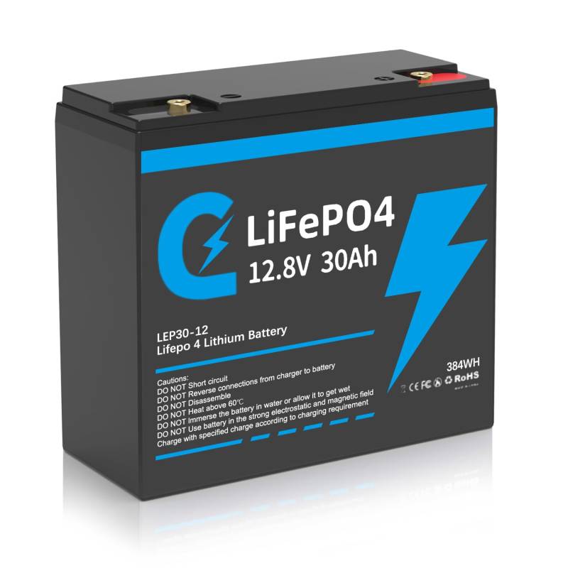 Lifepo4 Lithium-Akku 30Ah 12V mit 8000 Tiefenladungszyklen und Batteriemanagementschutz, Lithium Batterie 12,8V 30Ah für mehr als 10 Jahre Geeignet für Wohnmobilen, Golfwagen (12.8v/30AH) von CLUHERTVY