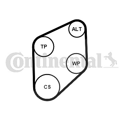 Continental Ctam Keilrippenriemensatz [Hersteller-Nr. 4PK800K1] für Smart von CONTINENTAL CTAM