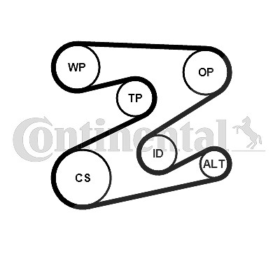 Continental Ctam Keilrippenriemensatz [Hersteller-Nr. 5PK2030K1] für Land Rover, Mg, Rover von CONTINENTAL CTAM