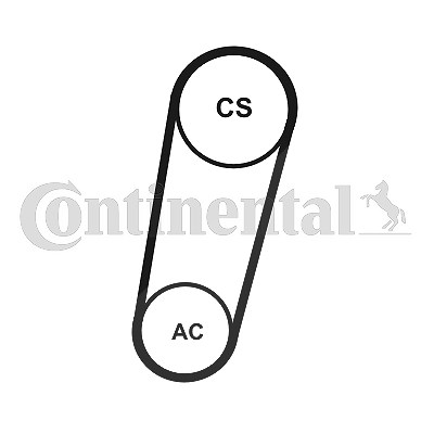 Continental Ctam Keilrippenriemensatz [Hersteller-Nr. 5PK705ELASTT1] für Ford, Volvo von CONTINENTAL CTAM