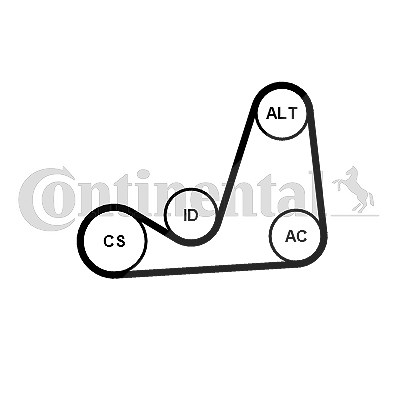Continental Ctam Keilrippenriemensatz [Hersteller-Nr. 6PK1075K1] für Mercedes-Benz von CONTINENTAL CTAM