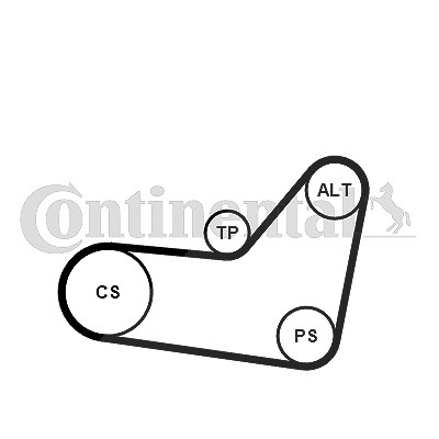 Continental Ctam Keilrippenriemensatz [Hersteller-Nr. 6PK1080K2] für Citroën, Fiat, Peugeot von CONTINENTAL CTAM