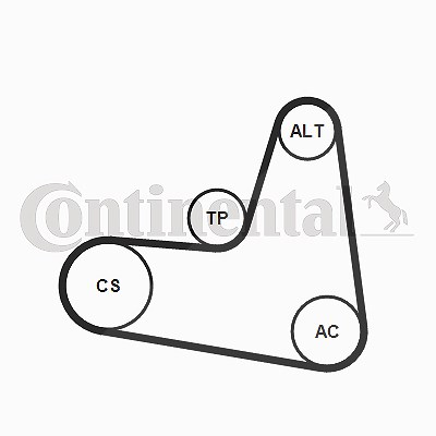 Continental Ctam Keilrippenriemensatz [Hersteller-Nr. 6PK1120K2] für Audi, Seat, Skoda, VW von CONTINENTAL CTAM