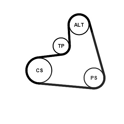 Continental Ctam Keilrippenriemensatz [Hersteller-Nr. 6PK1120K3] für Audi, Seat, Skoda, VW von CONTINENTAL CTAM