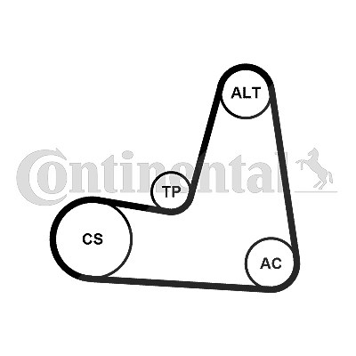 Continental Ctam Keilrippenriemensatz [Hersteller-Nr. 6PK1130K2] für Dacia, Lada, Nissan, Renault von CONTINENTAL CTAM