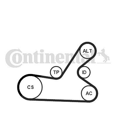 Continental Ctam Keilrippenriemensatz [Hersteller-Nr. 6PK1145K4] für Peugeot von CONTINENTAL CTAM